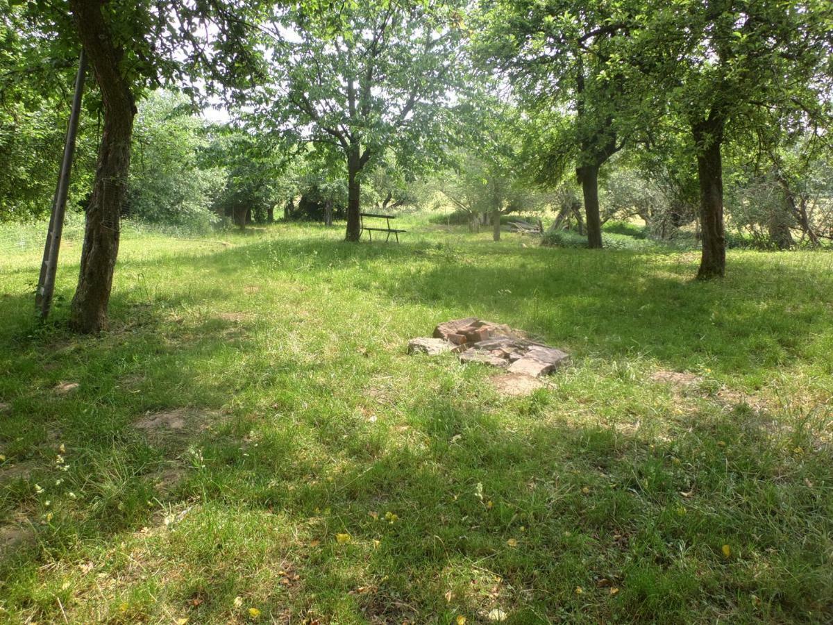 Appel-Ranch Daire Bockelwitz Dış mekan fotoğraf