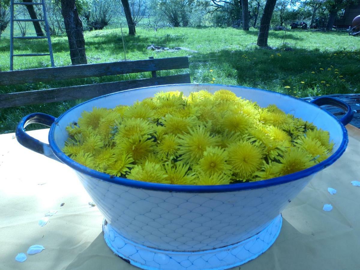 Appel-Ranch Daire Bockelwitz Dış mekan fotoğraf