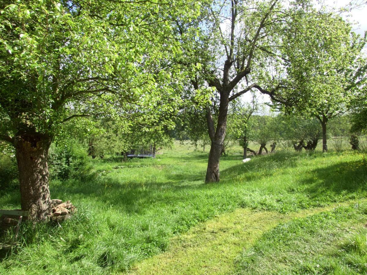 Appel-Ranch Daire Bockelwitz Dış mekan fotoğraf